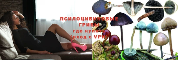 герыч Елизово