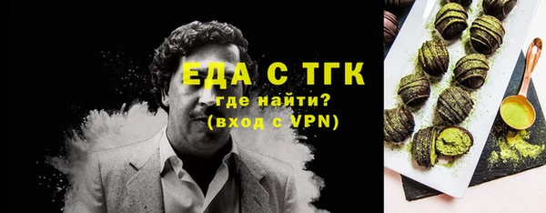 трава Ельня