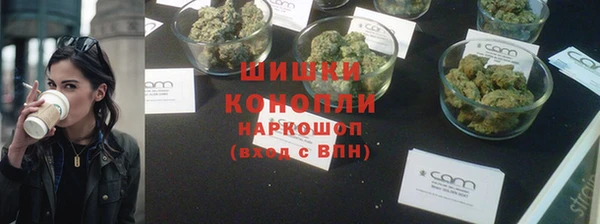 стаф Елабуга
