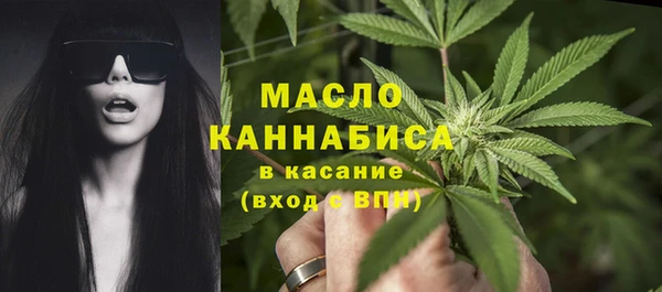 трава Ельня