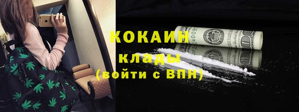 трава Ельня
