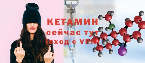 трава Ельня