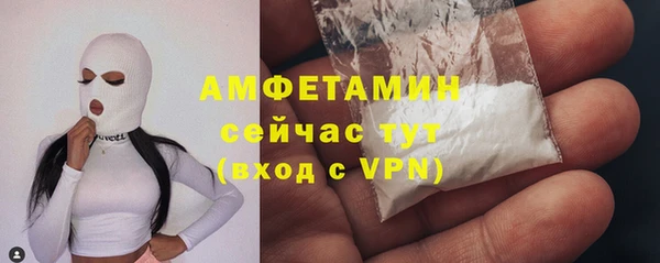 трава Ельня
