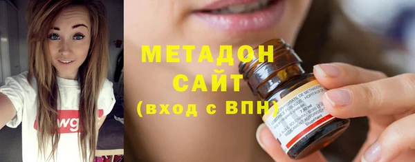 трава Ельня