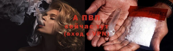 стаф Елабуга
