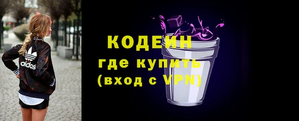 трава Ельня