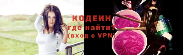 трава Ельня