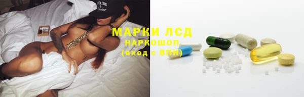 трава Ельня