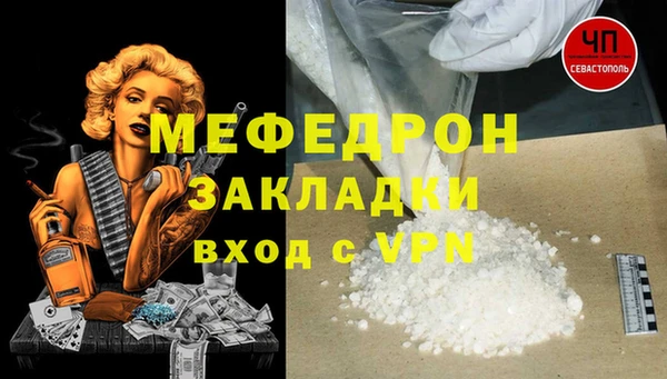трава Ельня