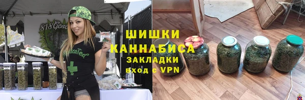 стаф Елабуга
