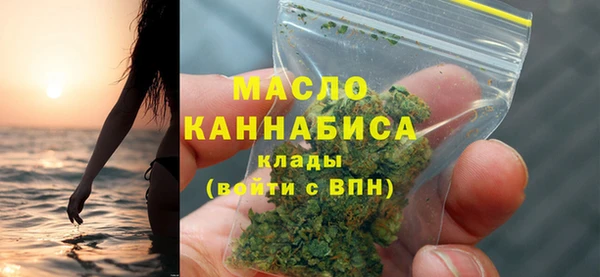 трава Ельня