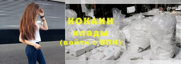 трава Ельня